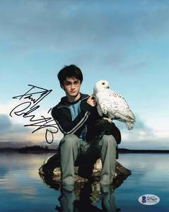 Daniel Radcliffe Signed 10x8" Photograph & COA